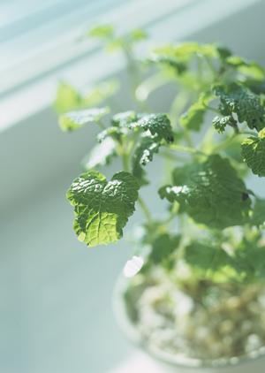 大阪HDCショールーム｜タカラスタンダードの魅力と店舗情報詳細解説