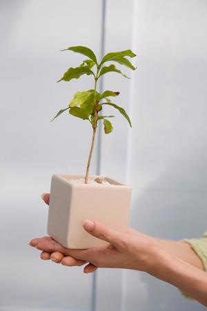 インサイトコードレスライトについて