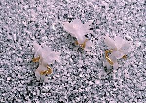 しっかりとしたソファーの選び方