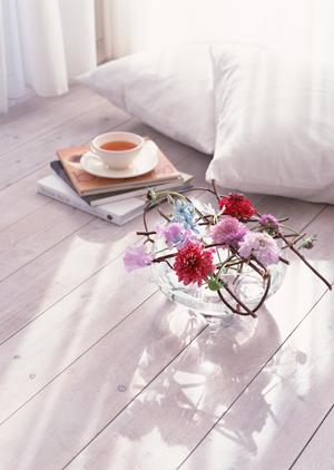 オフィスを彩る観葉植物のレンタル