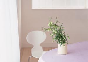 おしゃれな玄関を実現するためのアイデアとリフォームガイド