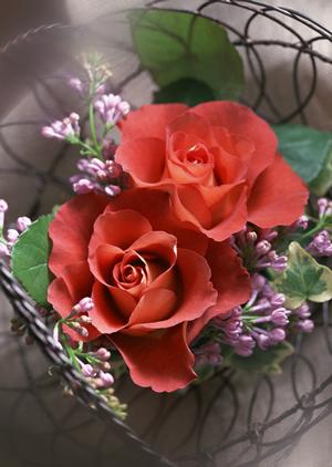 福岡ショールーム｜タカラスタンダードの魅力とサービス詳細ガイド