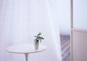 リビングの快適空間を実現！スクリーンサイズ選びの極意と最新選び方ガイド【2026年最新版】